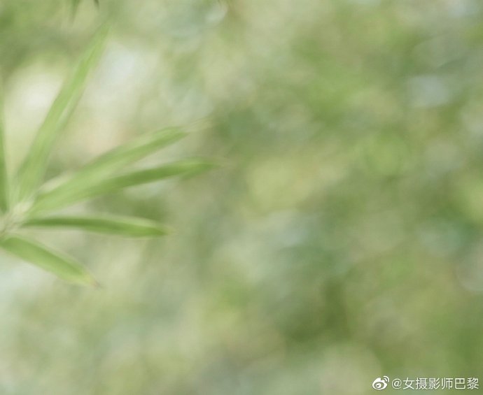 黄果ai短剧影视资讯缩略图